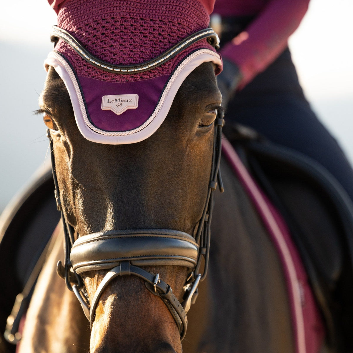 LeMieux Loire Fly Hood Blackberry lifestyle