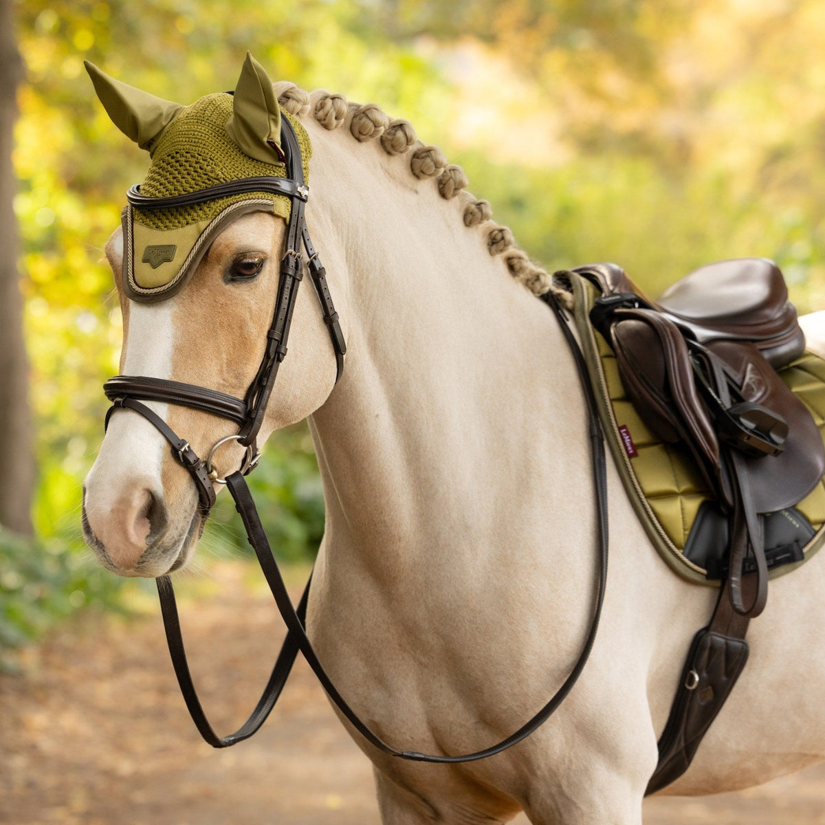 LeMieux Loire Fly Hood Gooseberry lifestyle