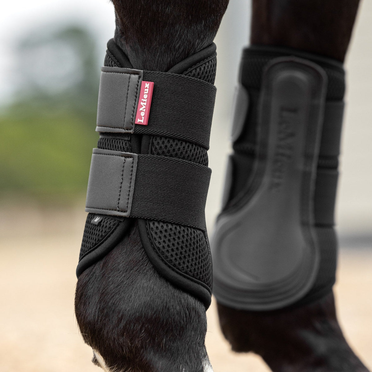 LeMieux Mesh Brushing Boots Black lifestyle