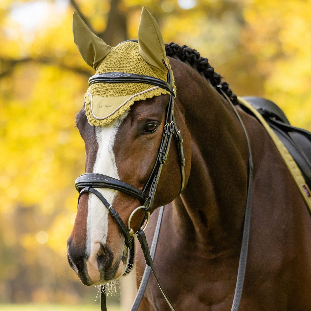 LeMieux Classic Fly Hood Gooseberry lifestyle