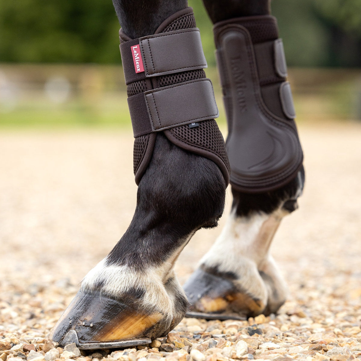 LeMieux Mesh Brushing Boots Brown lifestyle