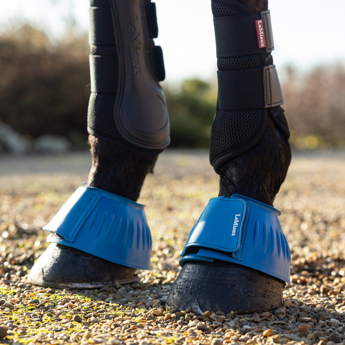 LeMieux Rubber Bell Boots Benetton Blue lifestyle