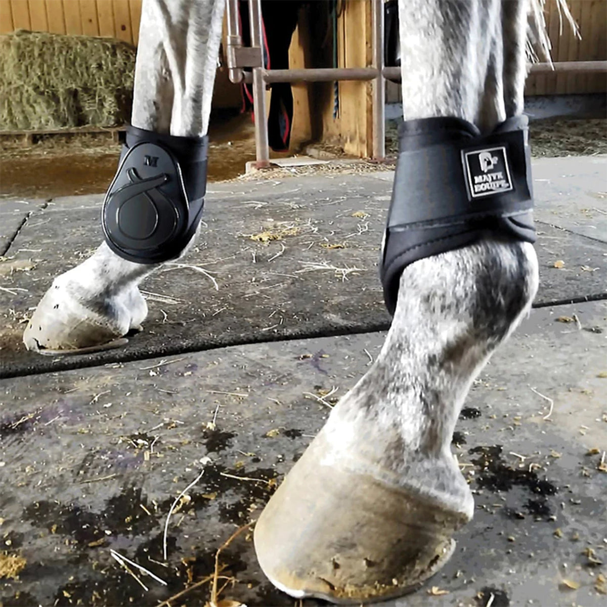 Majyk Equipe Infinity Vented Young Horse Fetlock Jump Boots