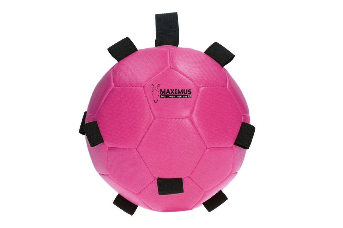 Maximus Fun Play Ball - Pink