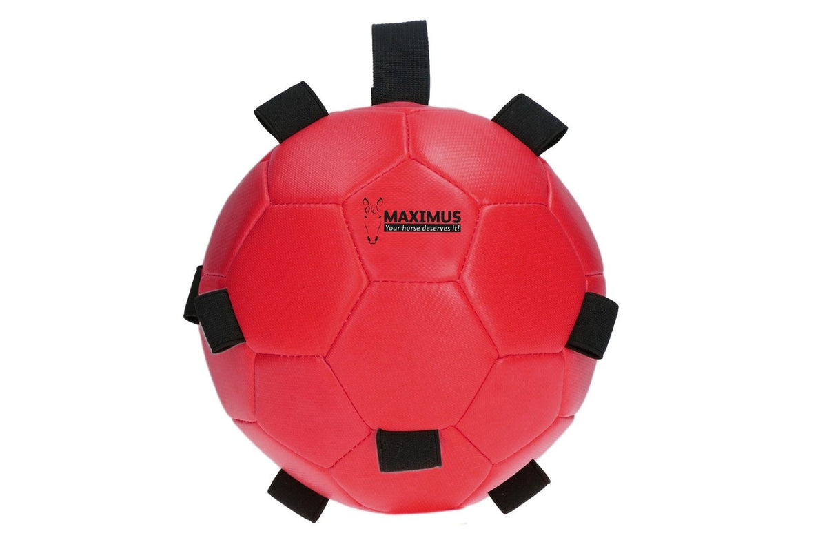 Maximus Fun Play Ball - Red