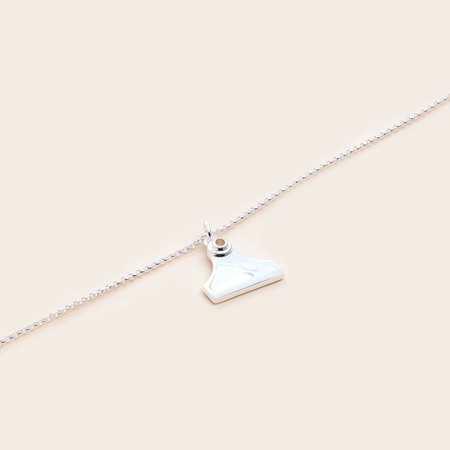 Whistle & Pop Cattle Tag Necklace