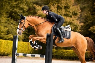 PS of Sweden Bridle Hackamore Sport