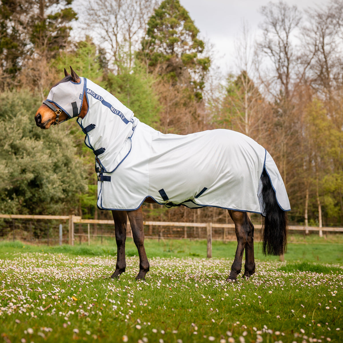 Mio Fly Rug Combo