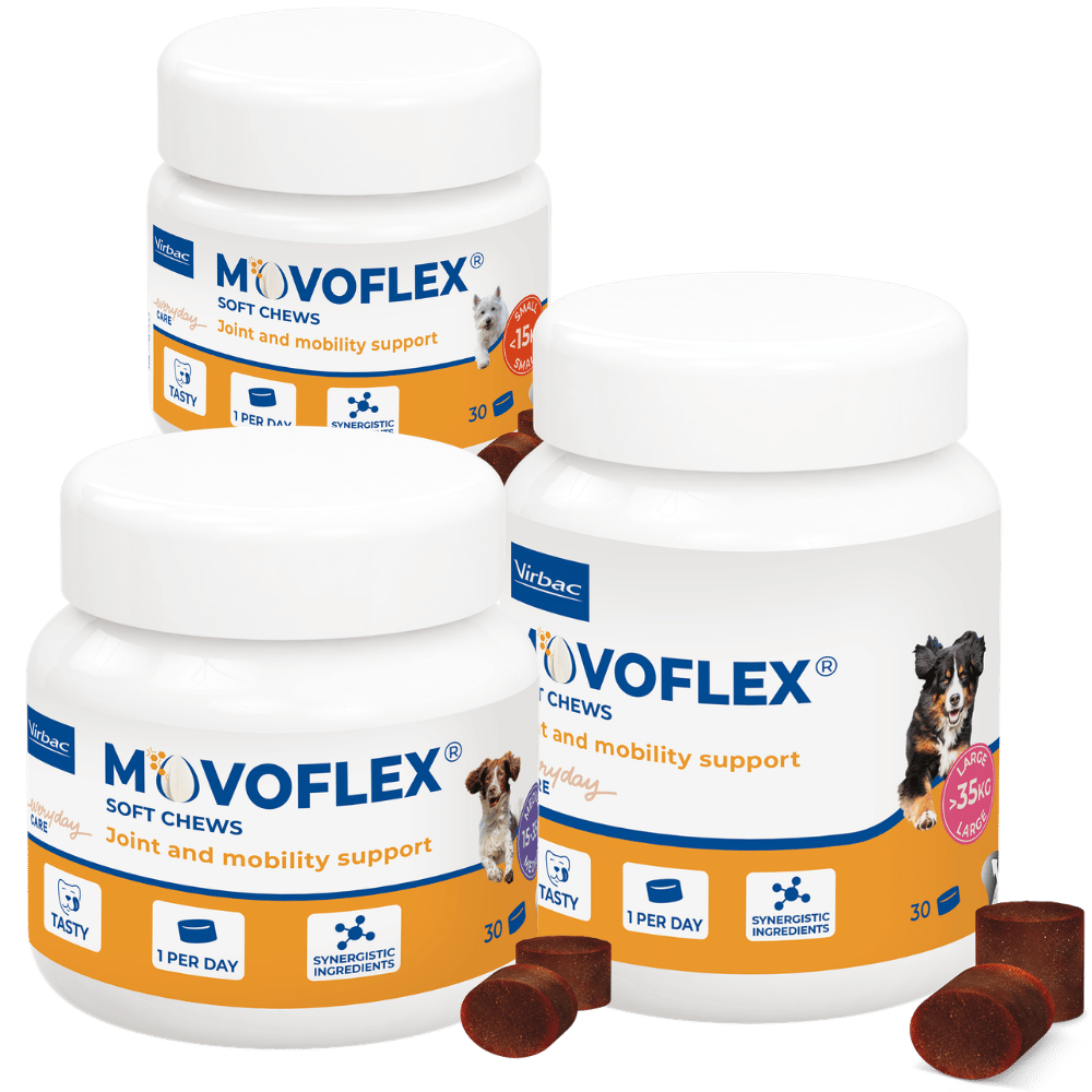 Movoflex Soft Chews joint support for dogs