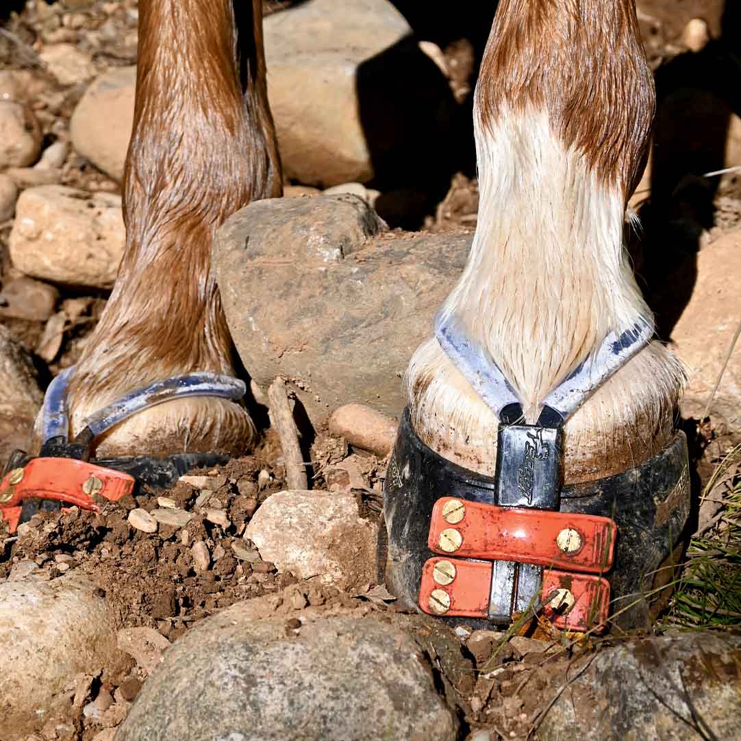 Scootboot Mud Straps
