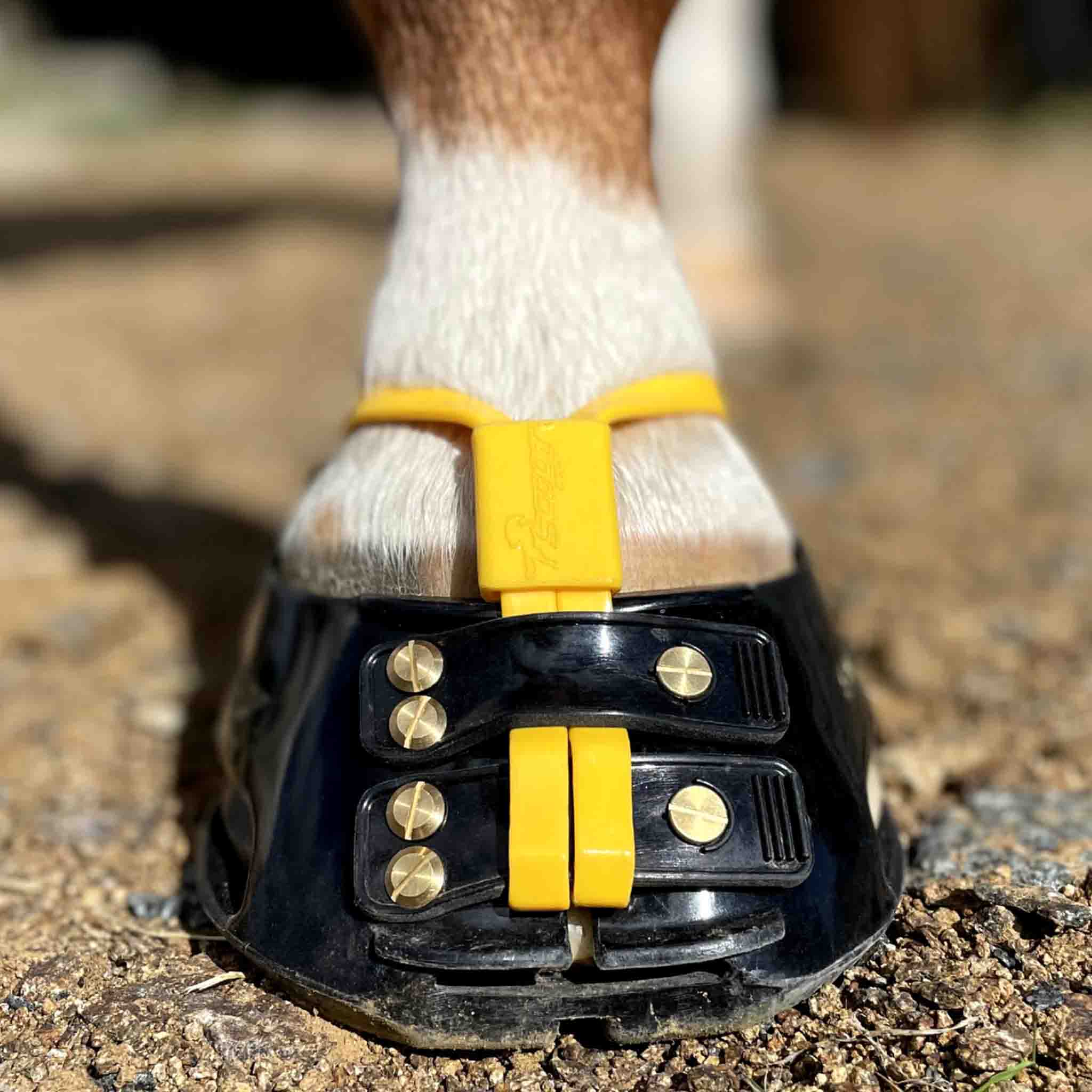 Scootboot Mud Straps