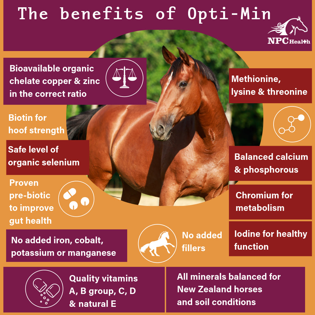 NPC Health Opti-Min Vitamins & Minerals - 4