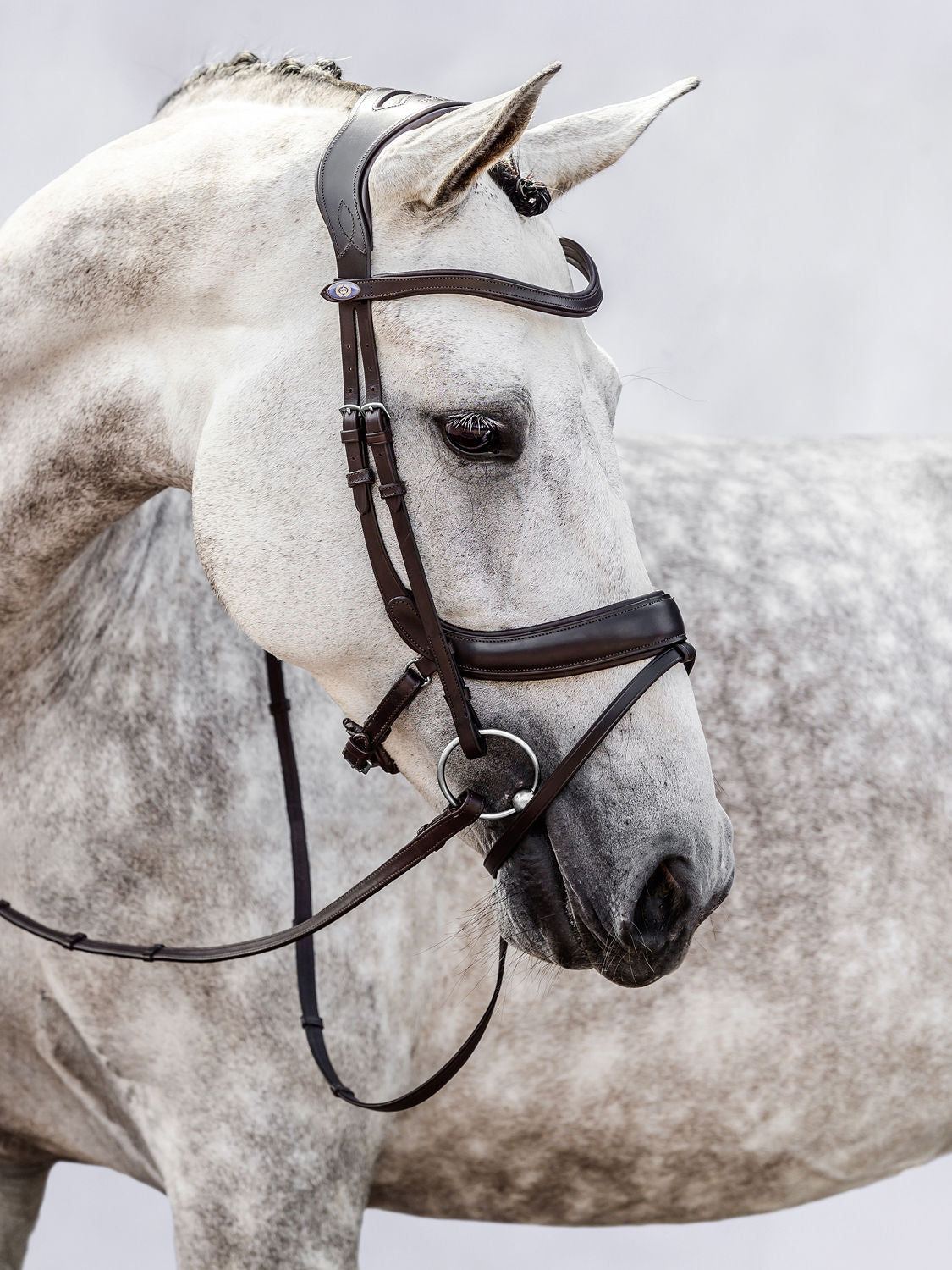 PS of Sweden Bridle Paladin