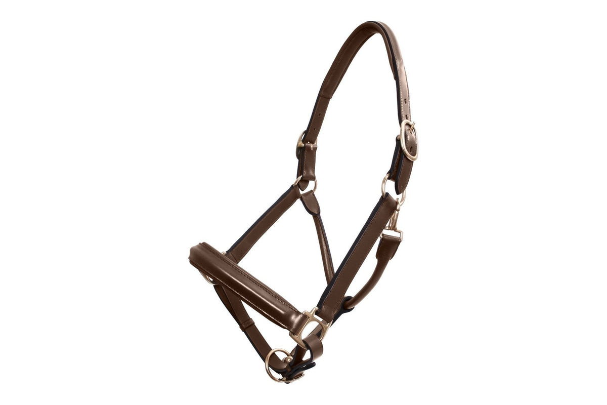 Platinum Leather Show Halter - Brown