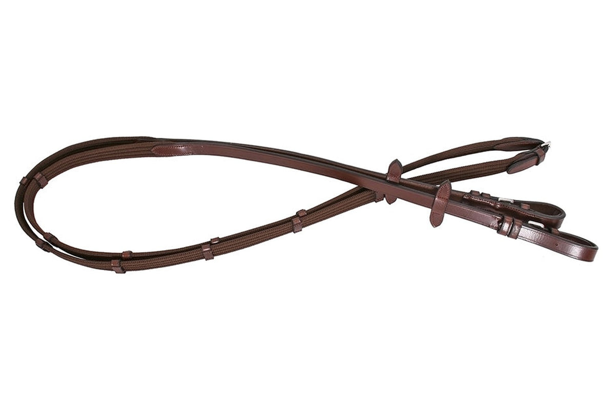 Platinum Web Reins - Brown