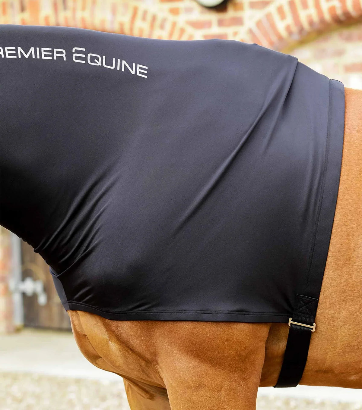 Premier Equine Stretch Lycra Hood - 3