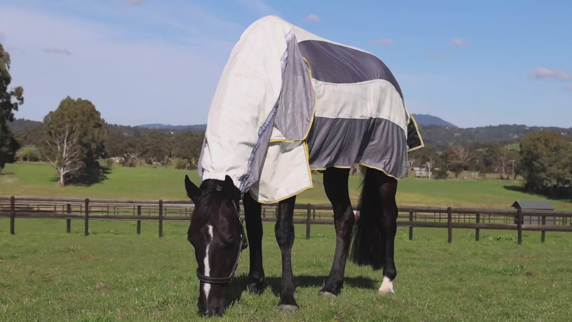 Weatherbeeta Breeze Combo Scrunch Neck II