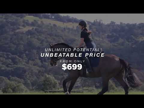 Collegiate Syntovia+ Osberton All Purpose Saddle
