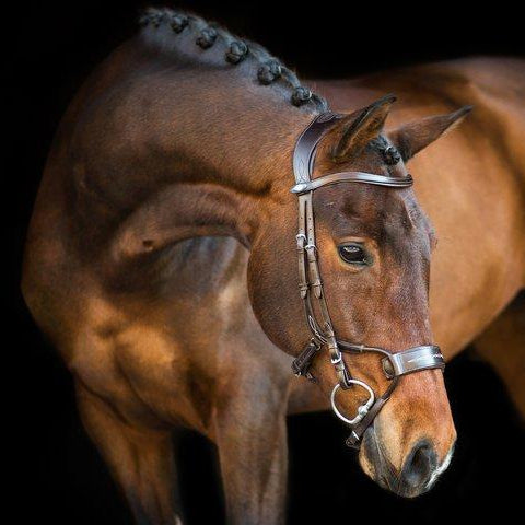 PS of Sweden Bridle High Jump - Brown