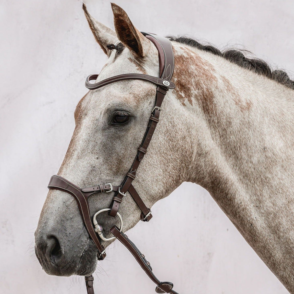 PS of Sweden Bridle Nirak