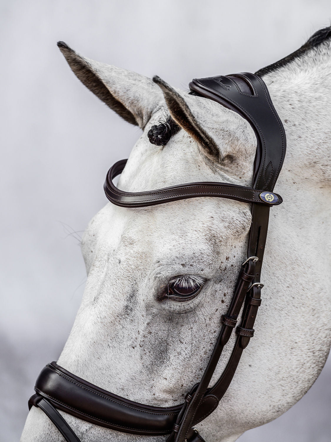 PS of Sweden Bridle Paladin - 3
