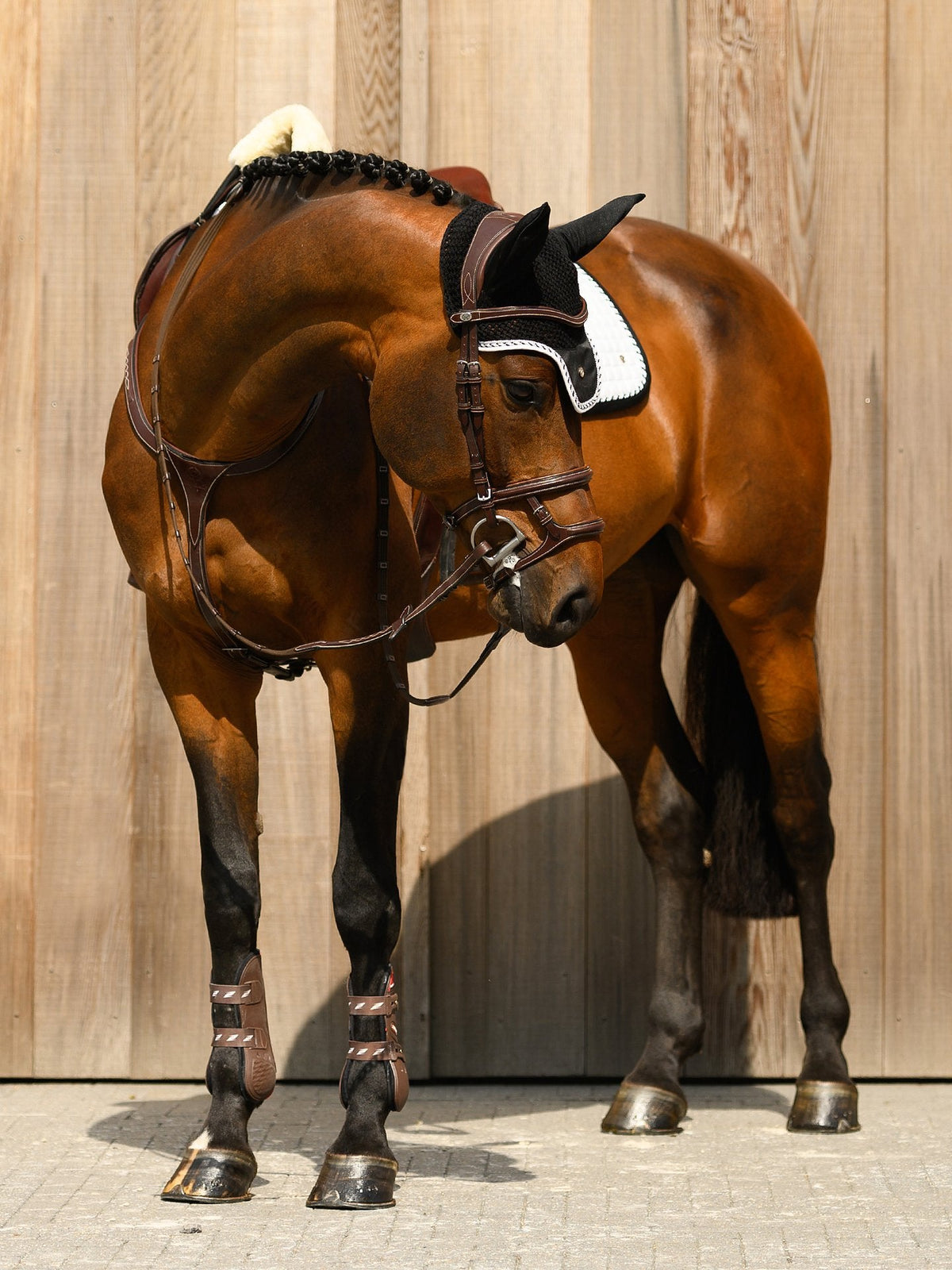 PS of Sweden Bridle Paris - Brown Black