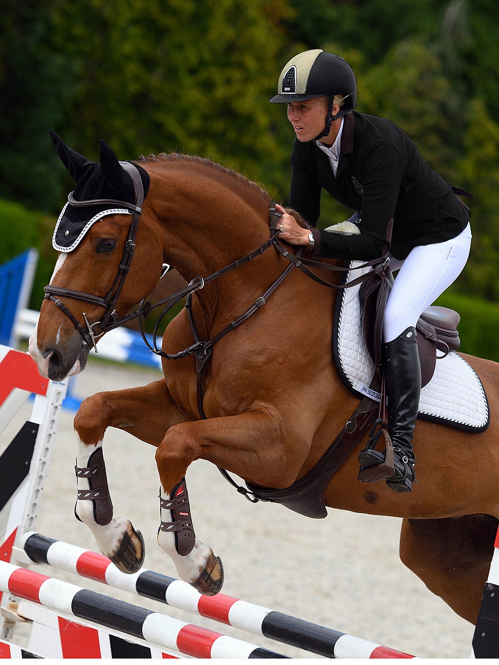 PS of Sweden Bridle Stockholm