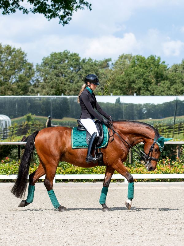PS of Sweden Polos Signature - 6