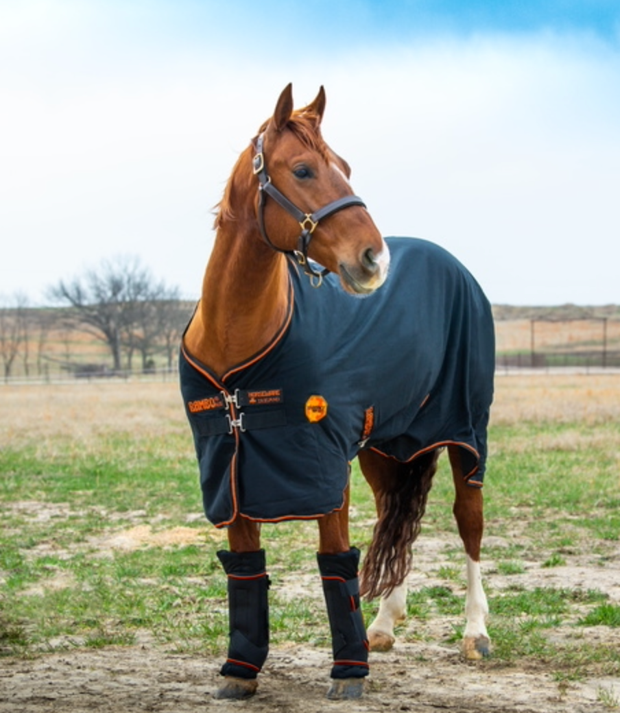 Rambo Ionic Stable Boots - 4