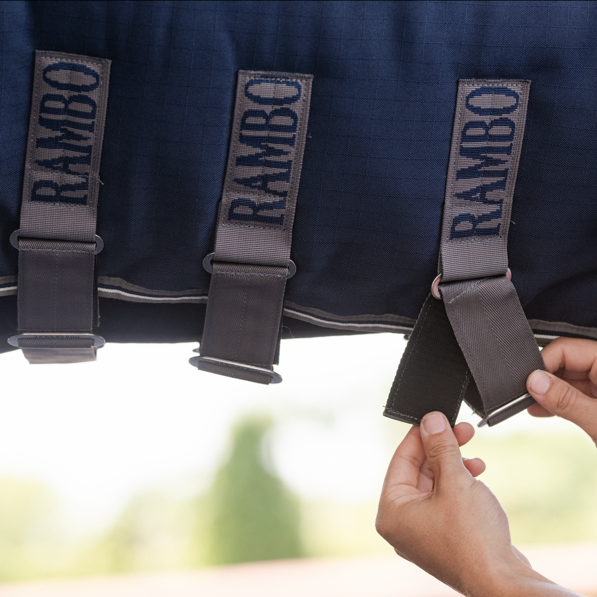 Rambo Optimo Stable Sheet - 5
