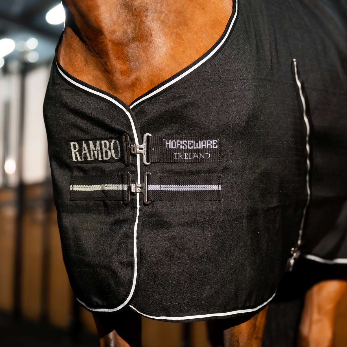 Rambo Stable Sheet - 5