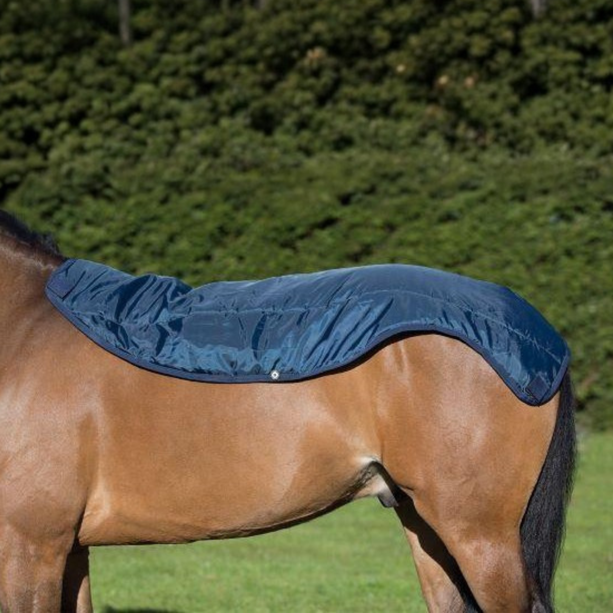 Rambo Summer Series 600D Turnout Detach-A-Neck - 4