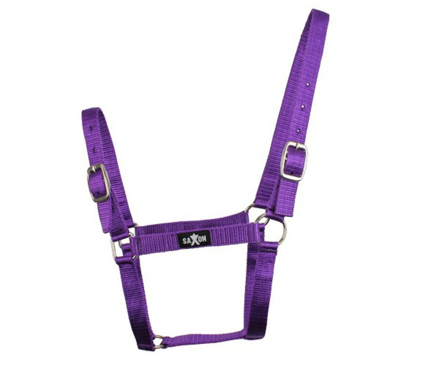 Saxon Economy Headcollar Halter - Purple