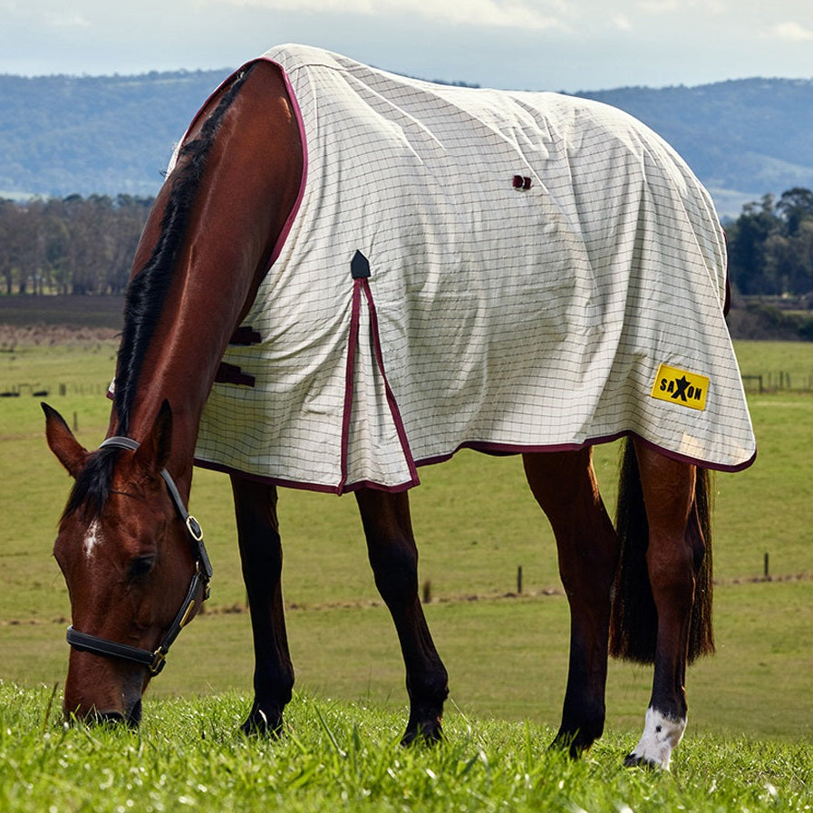 Saxon Kool Coat Cotton Sheet Standard Neck - White Burgundy Grazing