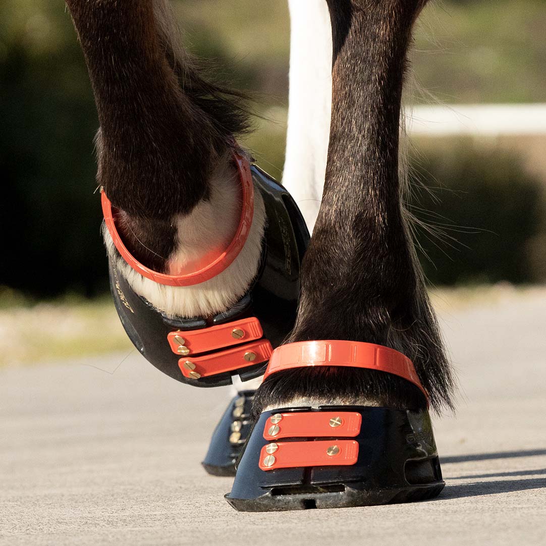 Scootboot Front Straps Standard - Hibiscus