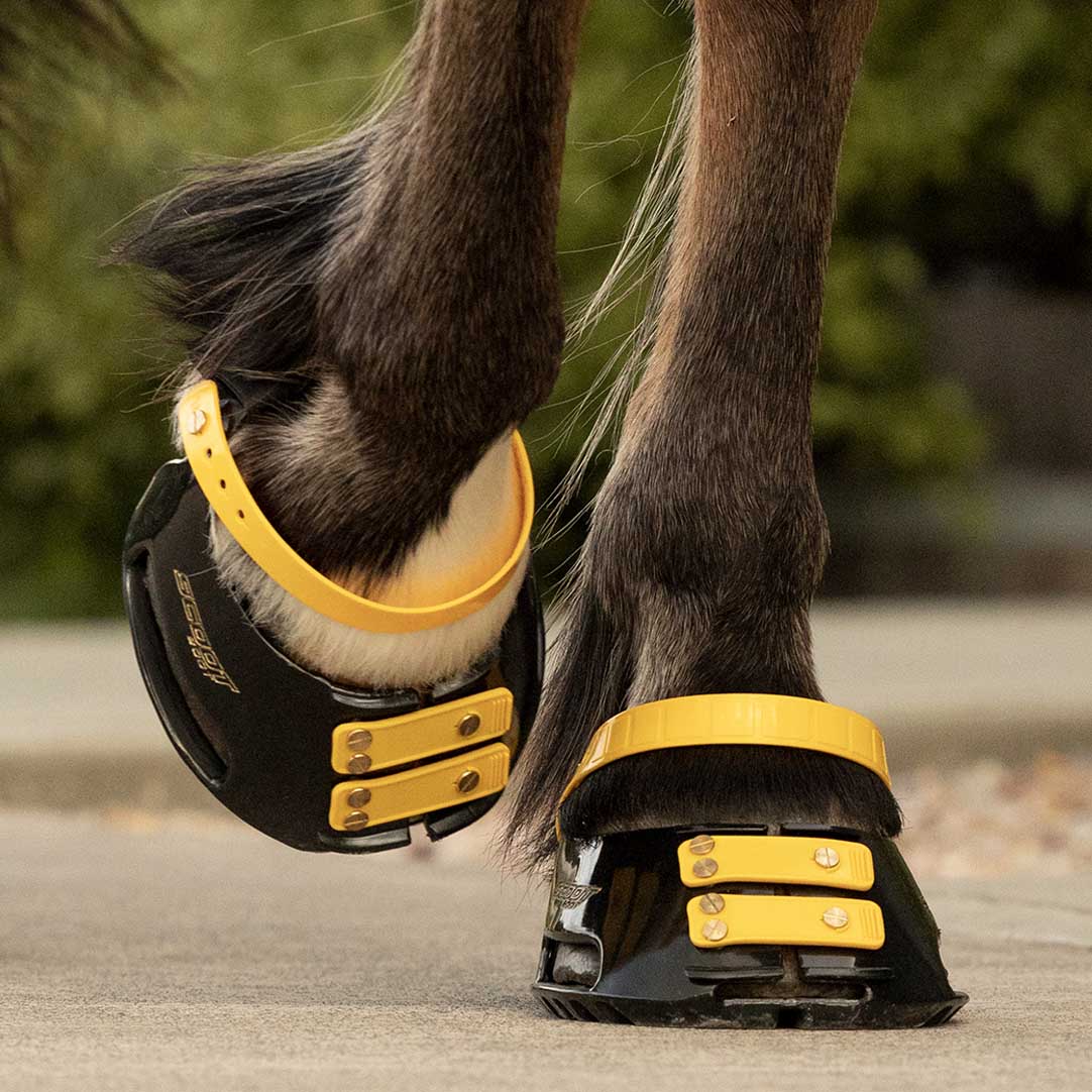 Scootboot Front Straps Standard - Marigold