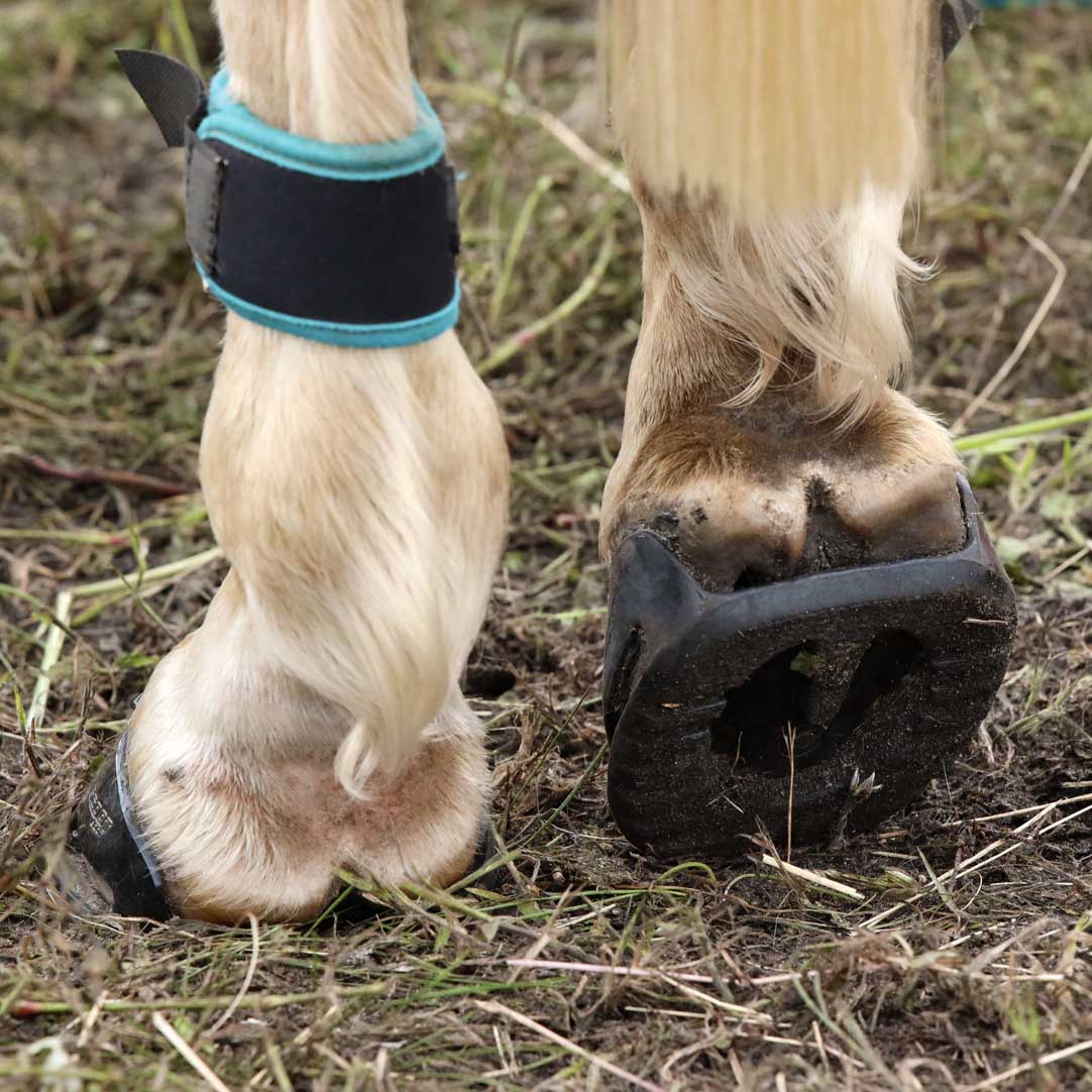 Scootboot Skin - 5