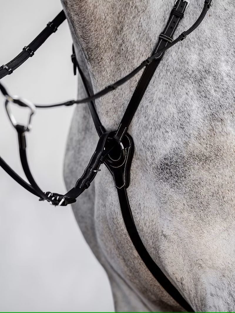 PS of Sweden Martingale Seoul