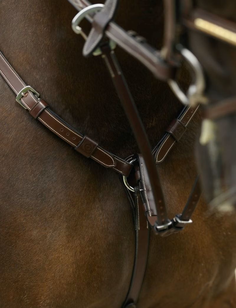 PS of Sweden Martingale Seoul