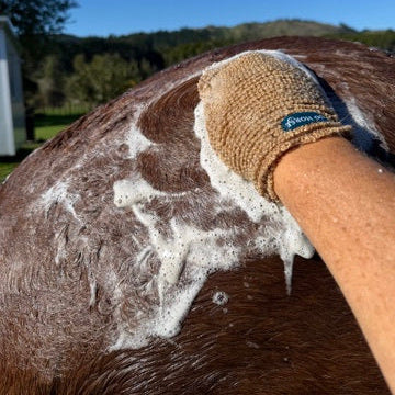 Eco Horse Linseed Shine Shampoo