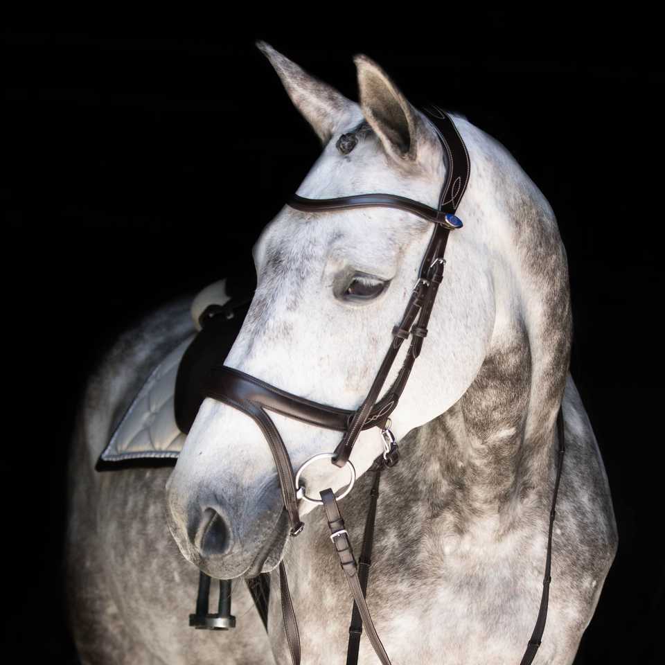 PS of Sweden Snap Hook