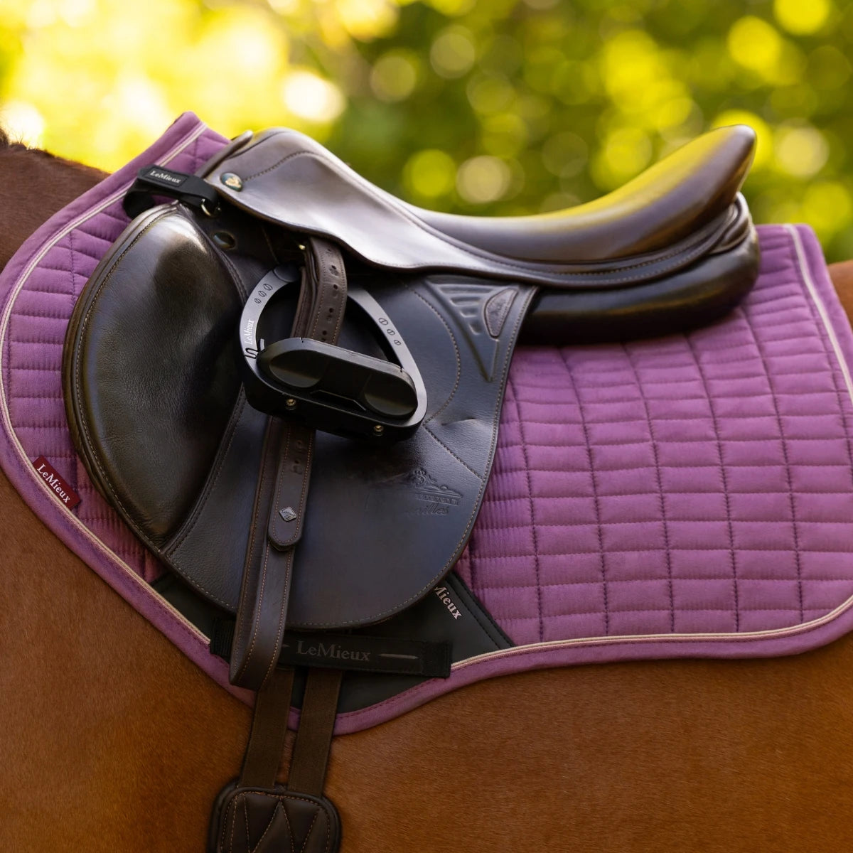 LeMieux Suede Half Pad Mallow lifestyle