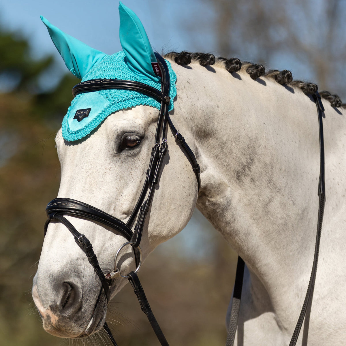 LeMieux Loire Fly Hood Azure lifestyle