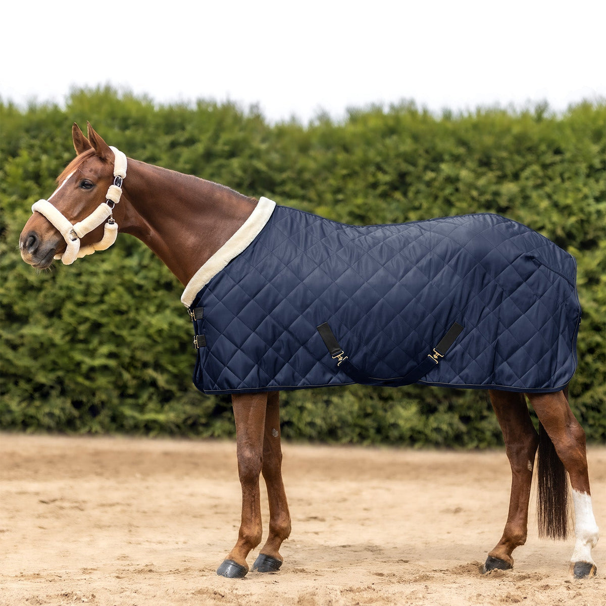 Waldhausen Exclusive Show/Stable Rug - 2