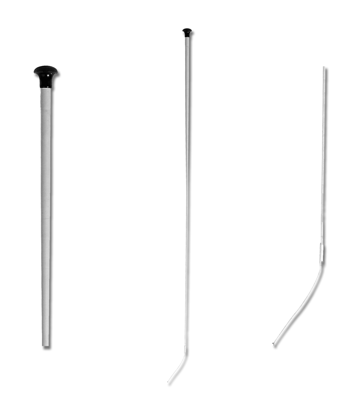 Waldhausen Whip Linda Tellington Jones