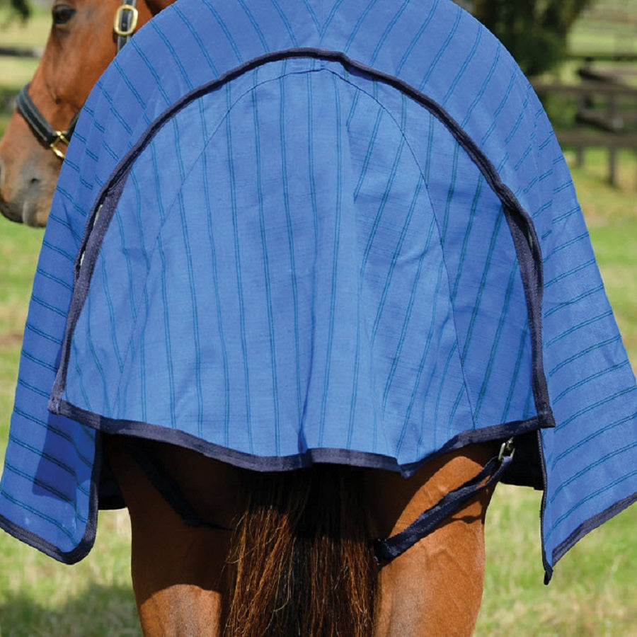 Weatherbeeta 18oz Canvas Combo - Blue Tail