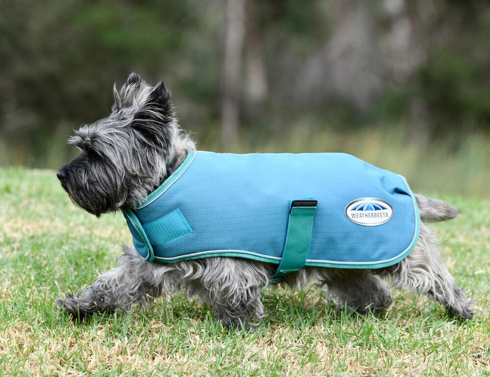 Weatherbeeta Green-Tec 1200D Parka Dog Coat - 2
