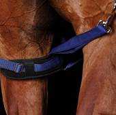 Weatherbeeta Padded Leg Straps
