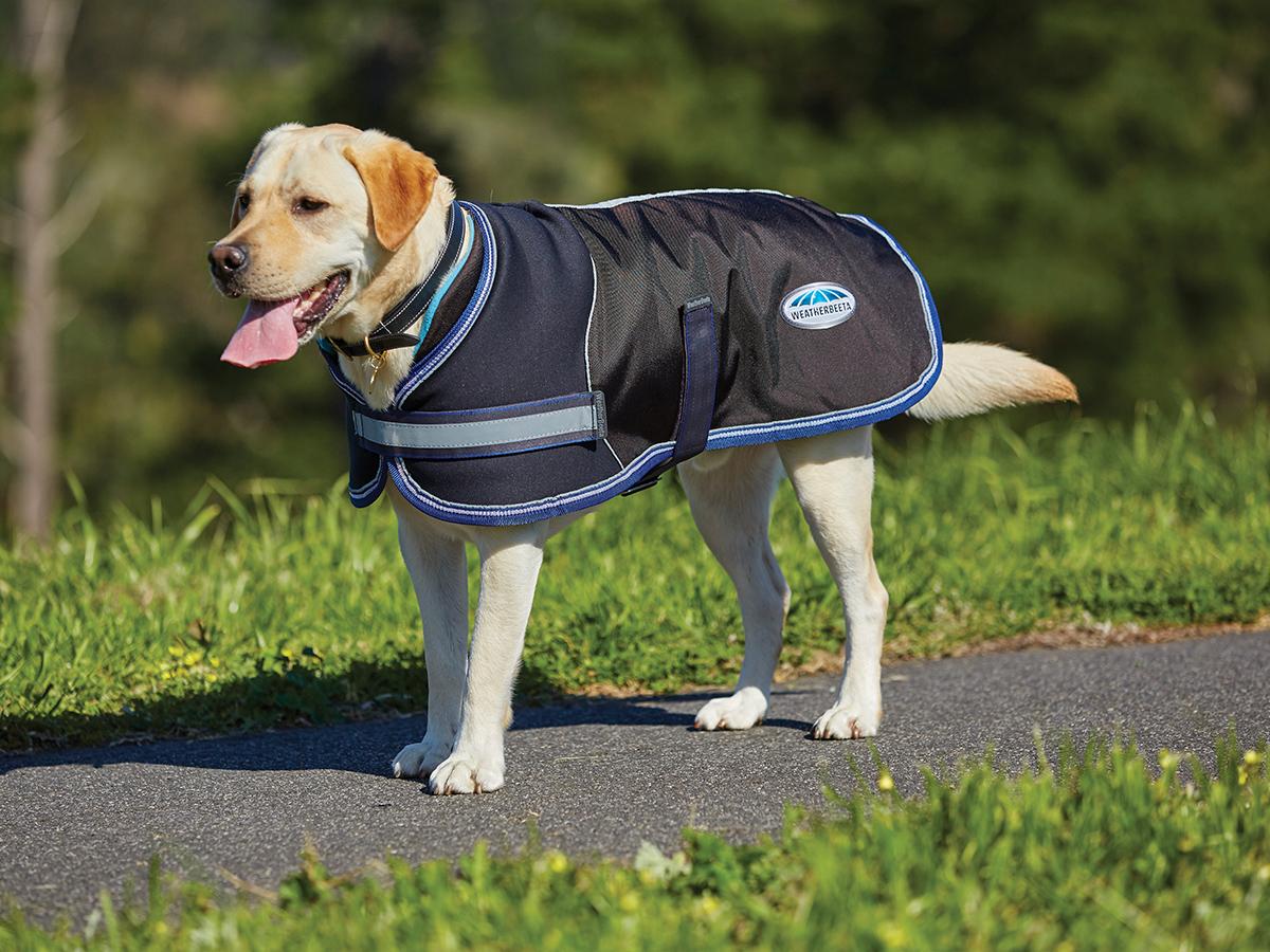 Weatherbeeta Parka 1680D Dog Coat - 2