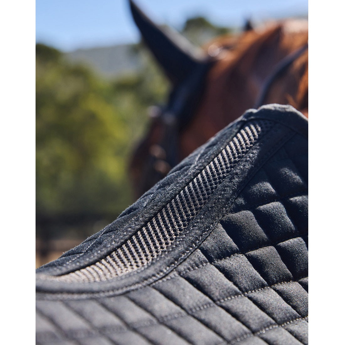Weatherbeeta Prime Air-Tec Jump Saddle Pad - Black Lifestyle